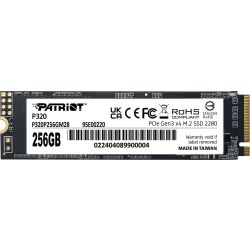 P320 256GB SSD (P320P256GM28)