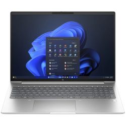 Hewlett Packard (HP) ProBook 460 G11 1TB Notebook pike silver (AA0V0ES-ABD)