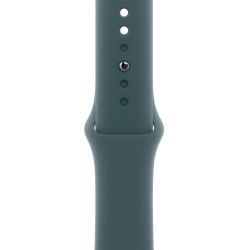 Apple Sportarmband M/L seegrün für Apple Watch 40mm (MAX64ZM/A)