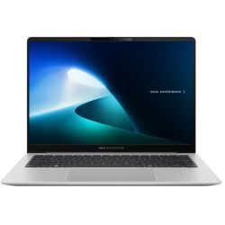 ExpertBook P5 V5405CSA-NZ0372W Notebook silber (90NX0862-M00FR0)