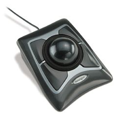 Expert Mouse Optical Trackball grau (64325)