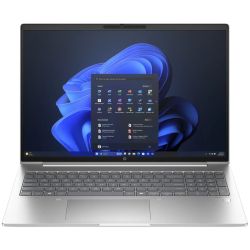 ProBook 465 G11 512GB Notebook pike silver (AA0W1ES-ABD)