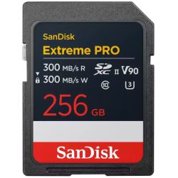 Extreme PRO R300/W300 SDXC 256GB Speicherkarte (SDSDXDM-256G-GN4IN)