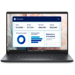 Pro 13 Premium PA13250 512GB Notebook grau (DJ2F2)