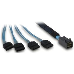 Inter-Tech Intertech SFF-8643 - 4x SATA/SAS Crossover (88885670)
