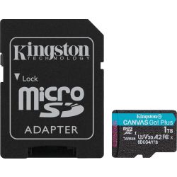 Kingston Technology Canvas Go! Plus Gen4 R200/W160 microSDXC 1TB Speicherkarte (SDCG4/1TB)
