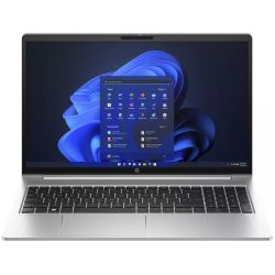 Hewlett Packard (HP) ProBook 450 G10 1TB Notebook pike silver (854L8ES-ABD)