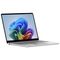 Microsoft Surface Laptop 13 1TB Notebook platinum (EP2-30991)