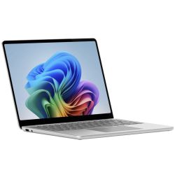 Microsoft Surface Laptop 13 512GB Notebook platinum (EP2-31270)
