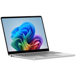 Microsoft Surface Laptop 13 1TB Notebook platinum (EP2-31346)
