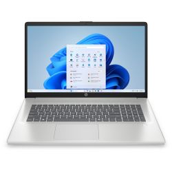 Hewlett Packard (HP) 17-cp2154ng 512GB Notebook natural silver (CV7A3EA-ABD)