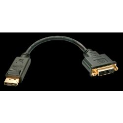 Lindy DisplayPort an DVI Adapterkabel (41004)