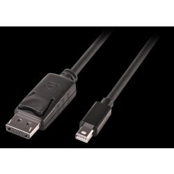 Mini DP zu DP Kabel, schwarz 1m (41645)