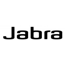 JABRA EVOLVE desk phone cable RJ9 to 3.5mm jack converter  (88011-100)