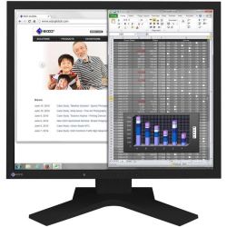 FlexScan S1934H-BK Monitor schwarz (S1934H-BK)