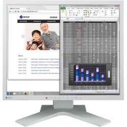 FlexScan S1934H-GY Monitor grau (S1934H-GY)