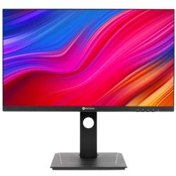 AG neovo DW2401 Monitor schwarz (DW241011E0100)