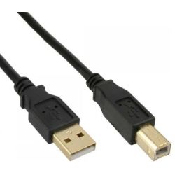 InLine USB-Kabel 2.0 Typ-A auf Typ-B 0,3m schwarz (34503S)