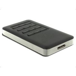 DELOCK ext. Gehäuse M.2 Key B 42mm SSD > USB-MicroB Buchs (42594)