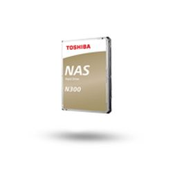 N300 High-Reliability 10TB Festplatte retail (HDWG11AEZSTA)