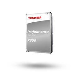 X300 Performance 12TB Festplatte bulk (HDWR21CUZSVA)