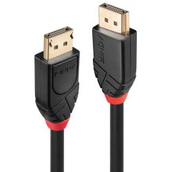 Kabel DisplayPort Stecker zu DisplayPort Stecker 10m schwarz (41078)