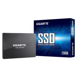 256GB SSD (GP-GSTFS31256GTND)