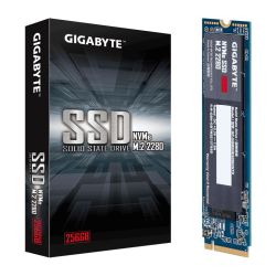 NVMe 256GB SSD (GP-GSM2NE3256GNTD)