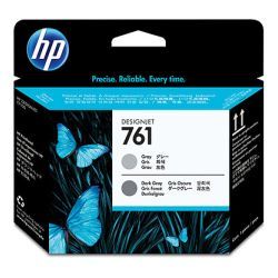 Hewlett Packard (HP) HP 761 Druckkopf grau + und dunkel grau Designjet T7100 (CH647A)