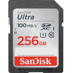 Ultra R100 SDXC 256GB Speicherkarte (SDSDUNR-256G-GN6IN)