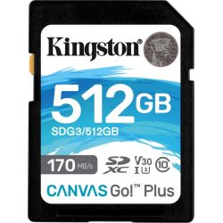 Kingston Technology Canvas Go! Plus R170/W90 SDXC 512GB Speicherkarte (SDG3/512GB)