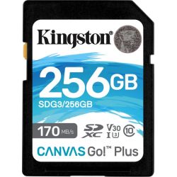 Kingston Technology Canvas Go! Plus R170/W90 SDXC 256GB Speicherkarte (SDG3/256GB)
