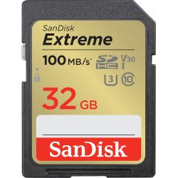 Extreme R100/W60 SDHC 32GB Speicherkarte UHS-I U3 (SDSDXVT-032G-GNCIN)