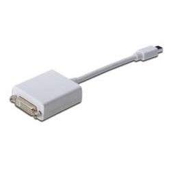 ASSMANN Adapterkabel mini DisplayPort St - DVI-D Bu  (AK-340406-001-W)