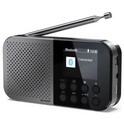 Osaka DR-P520 Radio grau/schwarz (DR-P520)