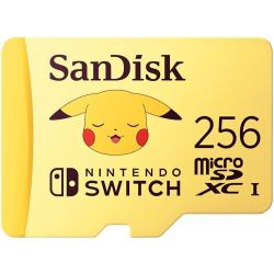 Switch R100/W90 microSDXC 256GB Speicherkarte (SDSQXAO-256G-GN6ZK)