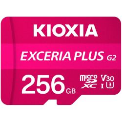 EXCERIA PLUS G2 R100/W90 microSDXC 256GB Speicherkarte (4582563858473)
