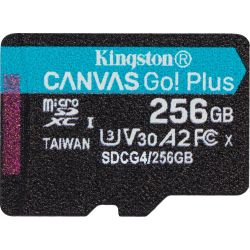 Kingston Canvas Go! Plus Gen4 microSDXC 256GB Speicherkarte (SDCG4/256GBSP)