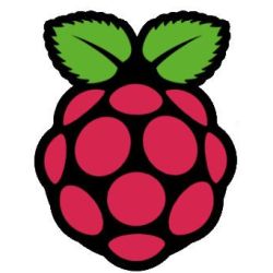 Raspberry Netzteil USB-C 27W f. Pi 5     black 2x (POW-0036)