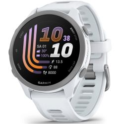 Garmin Forerunner 170 Sportuhr whitestone-cloud blue (010-03920-01)